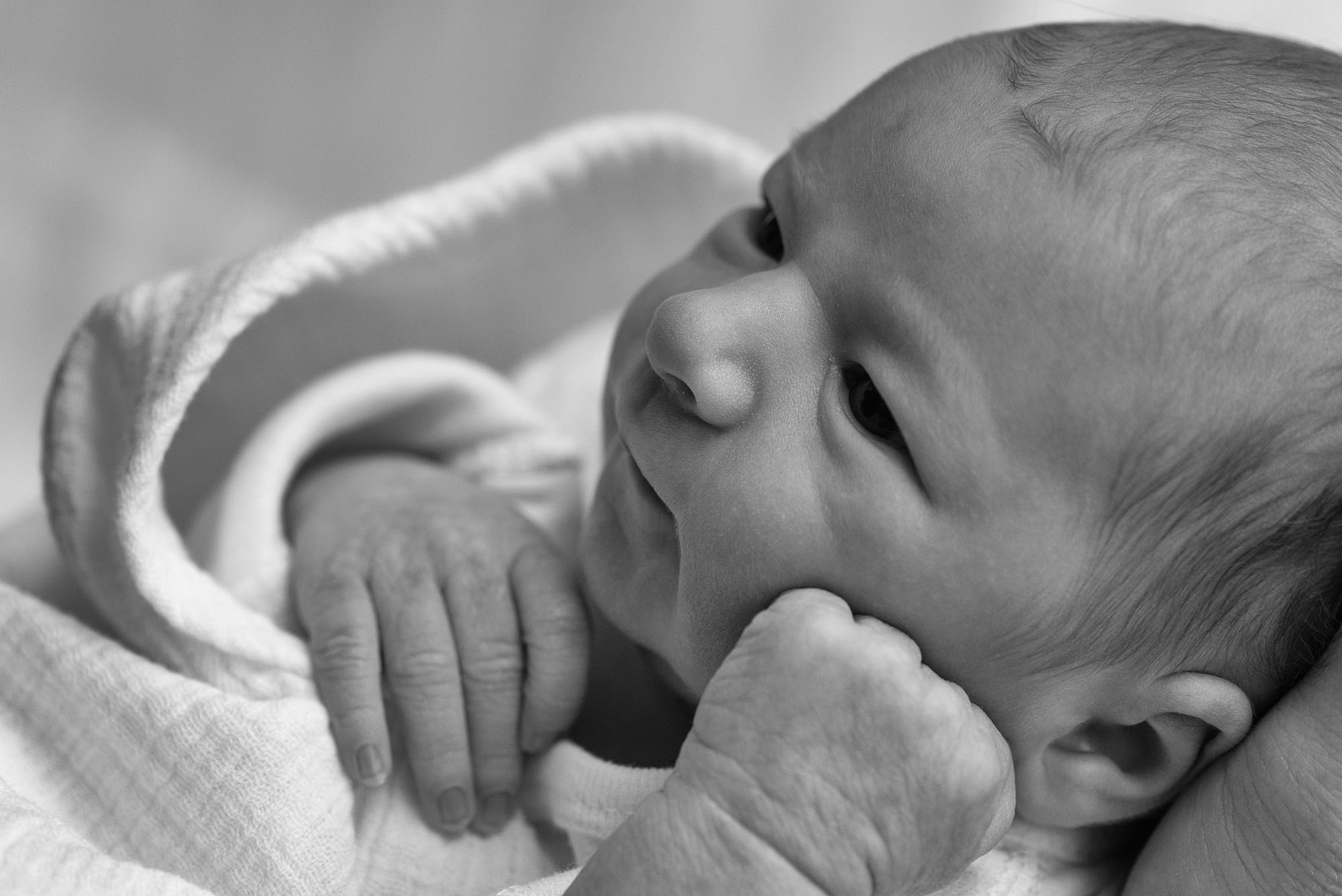 Newborn Photographer | Lisa Maco Photography, LLC, Washington, DC
