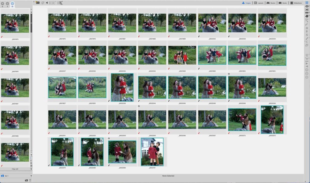 full-services photographers help you choose the best images | Lisa Maco Photography, LLC